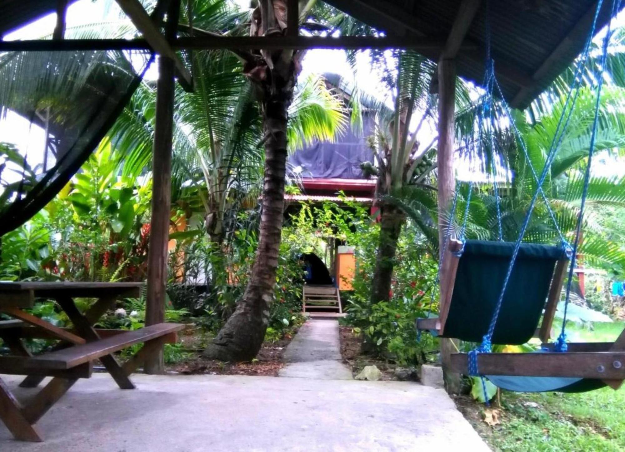 La Y Surf Camp Hotel Bocas del Toro Eksteriør billede