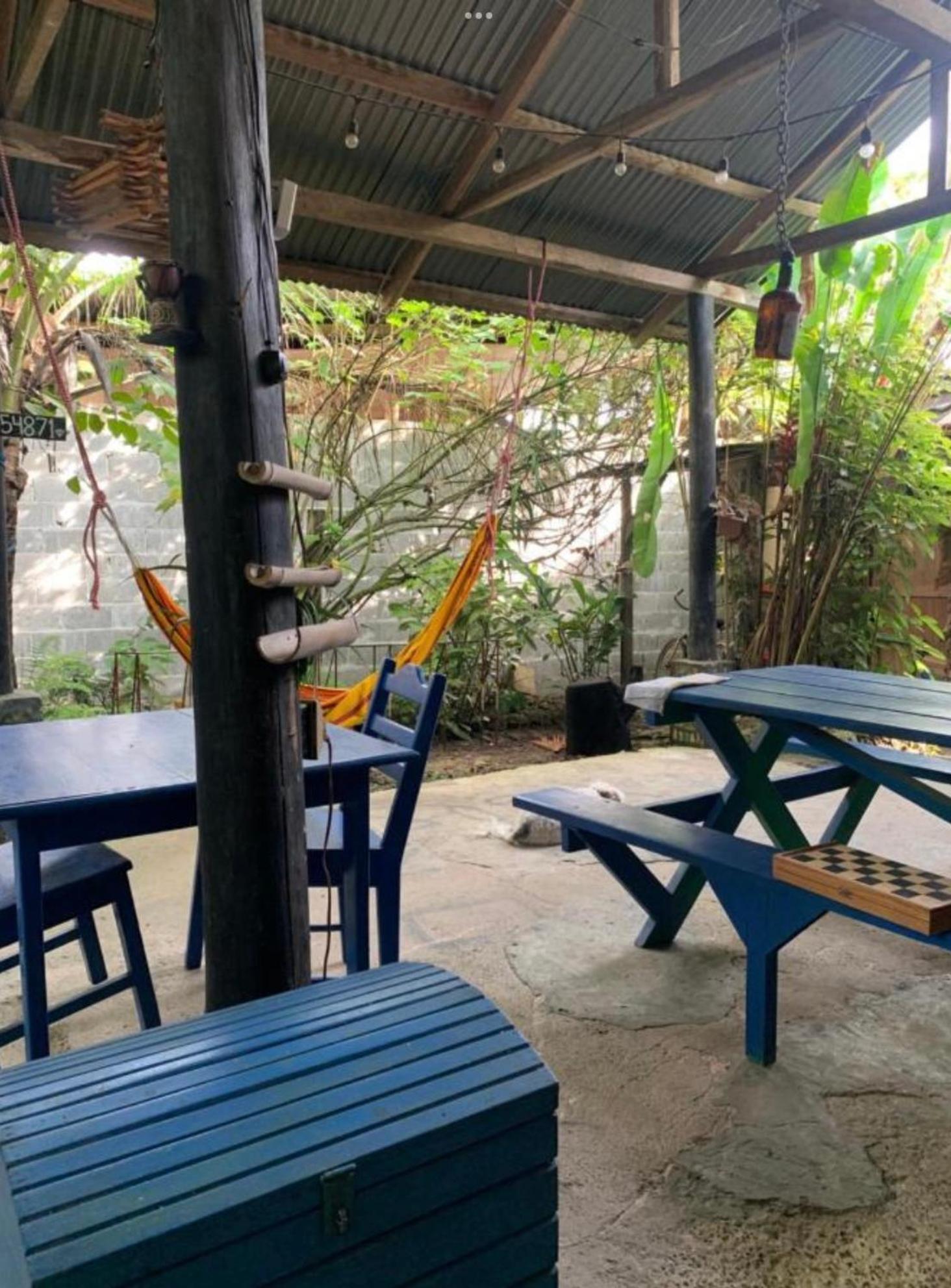 La Y Surf Camp Hotel Bocas del Toro Eksteriør billede