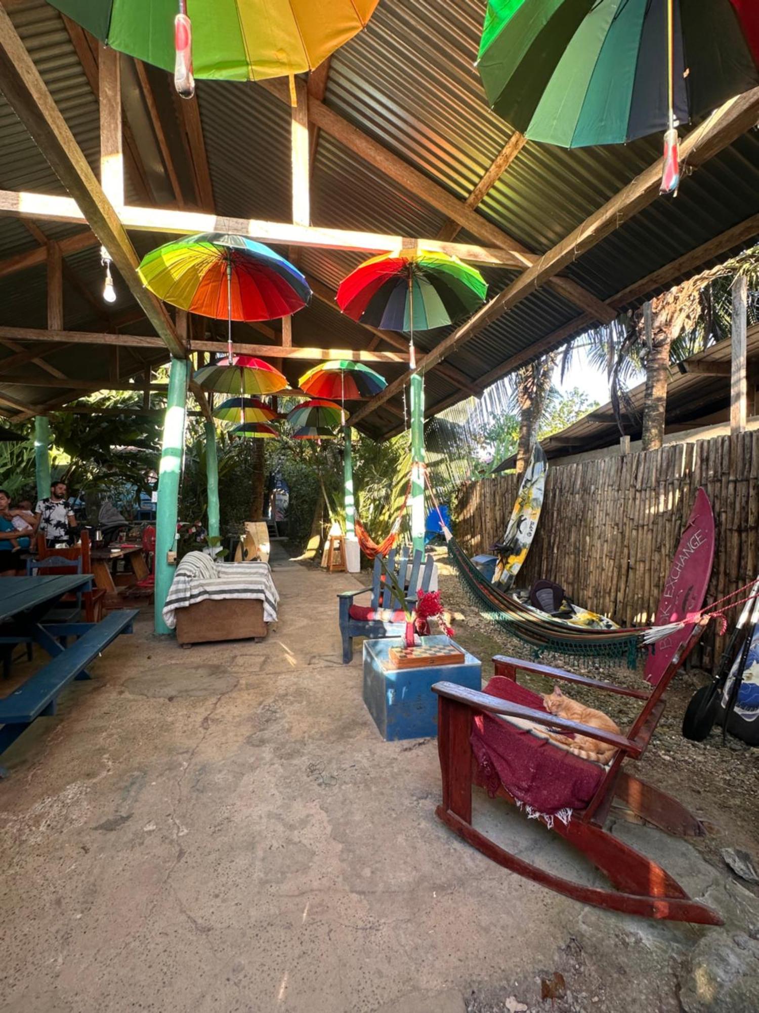 La Y Surf Camp Hotel Bocas del Toro Eksteriør billede